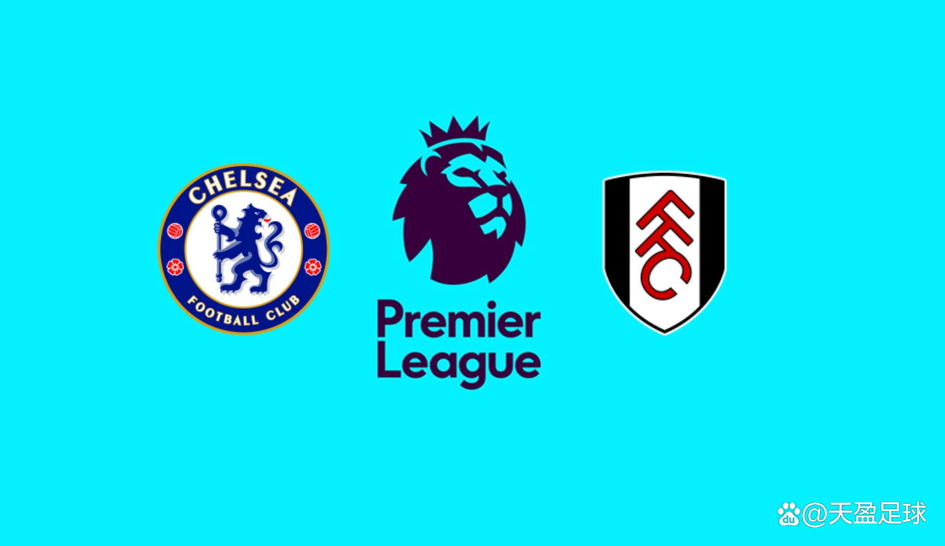 欧洲杯各队备战训练情况报道